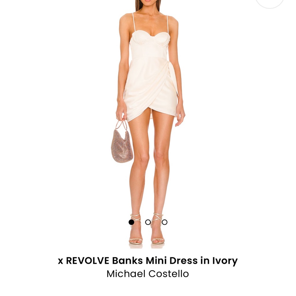 Revolve Banks Mini Dress